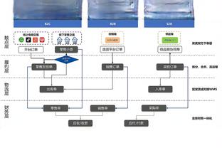 斯特拉马乔尼：普利西奇是年轻的老将，他能比别人更快融入新环境